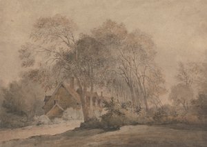 Une maison parmi les arbres