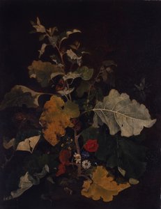 Étude de bardane