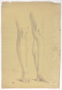 Jambes d