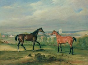 Les chasseurs favoris du comte Bathyany à Melton Mowbray - John E. Ferneley