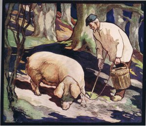 Un cochon cherchant des truffes, illustration de 