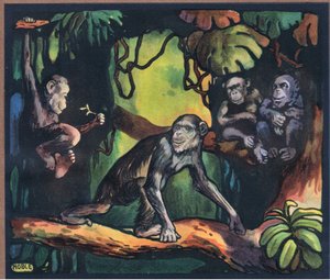 Chimpanzé