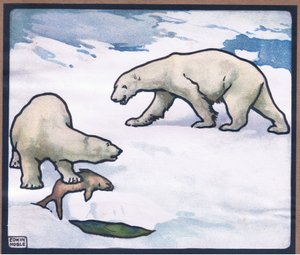 Ours polaire