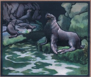 Lions de mer