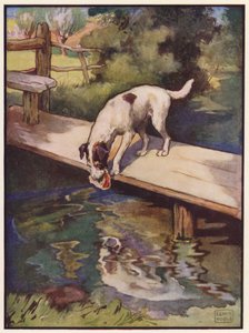 Le Chien et l