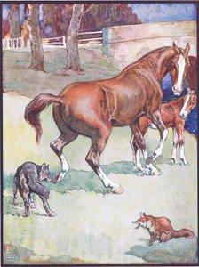 La jument a levé son sabot, illustration pour Reynard le renard, des légendes animales de nombreux pays, publié par Raphael Tuck & Sons Ltd. - John Edwin Noble