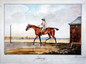 Johnny