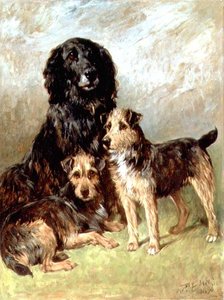 Animaux de compagnie de la famille
