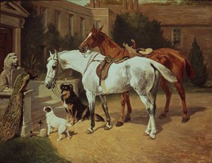 Chevaux et chiens