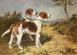Deux chiens dans un paysage