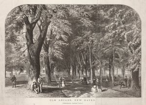 Vue de l