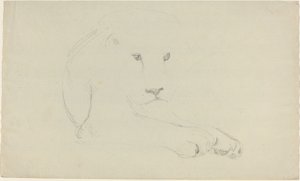 Lion - John Flaxman