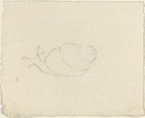 Escargots [recto et verso]