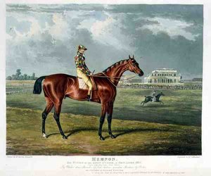 Memnon, le gagnant du Great St. Leger à Doncaster - John Frederick Herring Snr