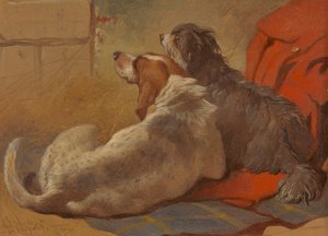 Un chien et un colley barbu assis sur un manteau de chasse