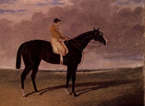 Queen of Trumps, un Cheval de Course Bai avec Jockey