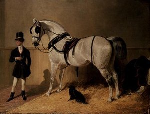 Un cheval de carrosse de St. James - John Frederick Herring Senior