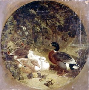 Canards et canetons dans un paysage de rivière boisée