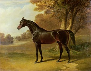 "Glaucus" - John Frederick Herring Senior