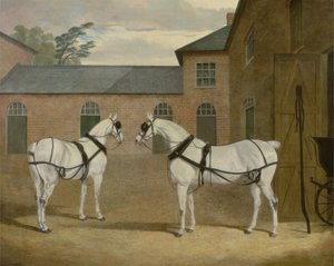 Les Chevaux Gris de M. Sowerby dans sa Cour de Carrosses à Putteridge Bury, Hertfordshire, 1836