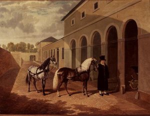 Les poneys de la duchesse