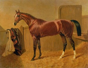 Image inconnue - John Frederick Herring Senior