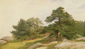 Étude pour des arbres sur la côte de Beverly