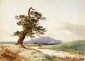 Vue d