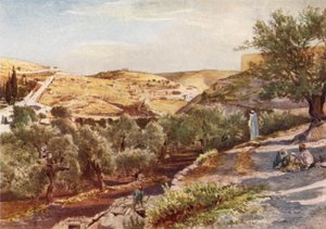 La haute vallée du Cédron, vue vers le sud