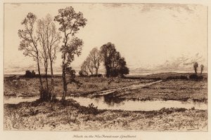 Landes dans la Nouvelle Forêt, près de Lyndhurst