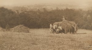Chargement du foin,1890-1900 (photo) - John G. Bullock