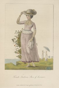 Femme esclave quadroon du Surinam - John Gabriel Stedman