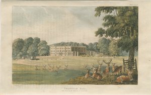 Trentham Hall : lithographie en couleur - John Gendall