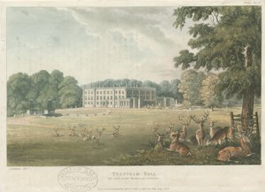 Trentham Hall : lithographie en couleur