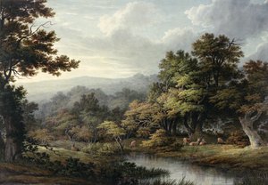 Clairière forestière avec étang et cerfs