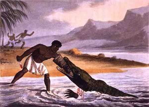 Les chasseurs de crocodiles africains (gravure) - John Heaviside (after) Clark