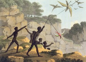 Lancer de la lance, aborigènes chassant des oiseaux de Nouvelle-Galles du Sud gravé par Matthew Dubourg (f.1813-1820) pub. 1813 - John Heaviside Clark