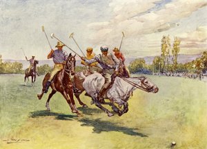 Polo en Afrique du Sud
