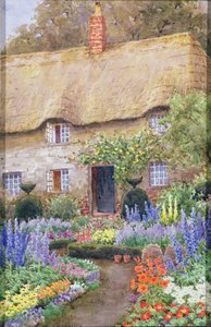 Jardin de cottage en pleine floraison