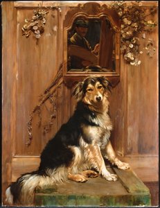 Un chien et un miroir