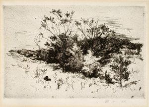 Paysage près de Cincinnati - John Henry Twachtman