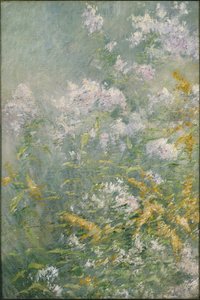 Fleurs des prés (Verge d