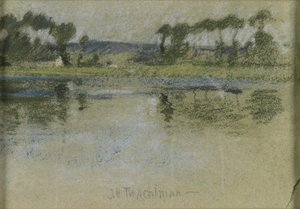 Arbres de l