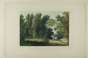 Vue de l