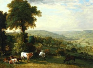 Vue de la Vallée de Shibden