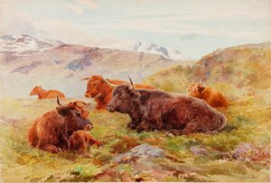 Paysage des Highlands avec du bétail
