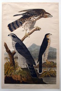  - John James Audubon