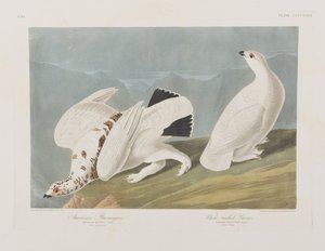 Illustration de 