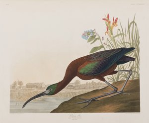 Illustration de 