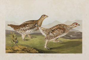 Illustration de 